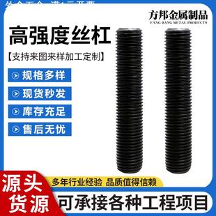 高强度丝杠8.8级1米 12.9丝杠 3米全螺纹螺柱全牙螺杆8.8 10.9