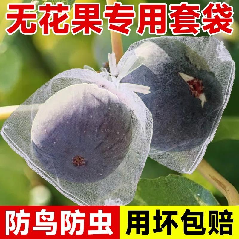 无花果套袋专用袋子防虫防鸟神器纱网袋草莓石榴桃子芒果苹果套袋