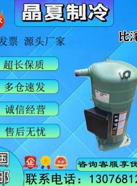 比泽尔GSD80385 GSD80295VAB612 GSD80421VAB611 GSD80385VAB46J