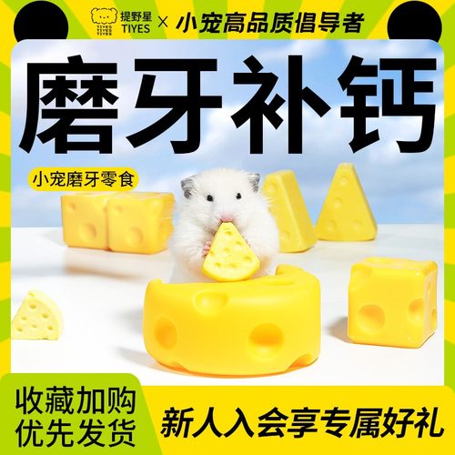 提野星小景有很多鼠仓鼠宠物奶酪