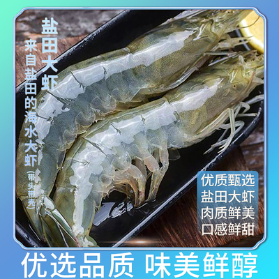 【天津特产】汉盐海泽盐田虾渤海湾盐田生态散养海水大虾鲜虾活冻