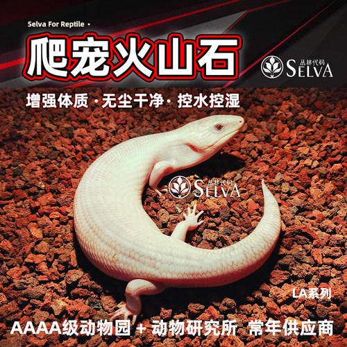 丛林代码爬宠垫材火山石轻石颗粒黄缘龟守宫宠物垫料荒漠造景无尘