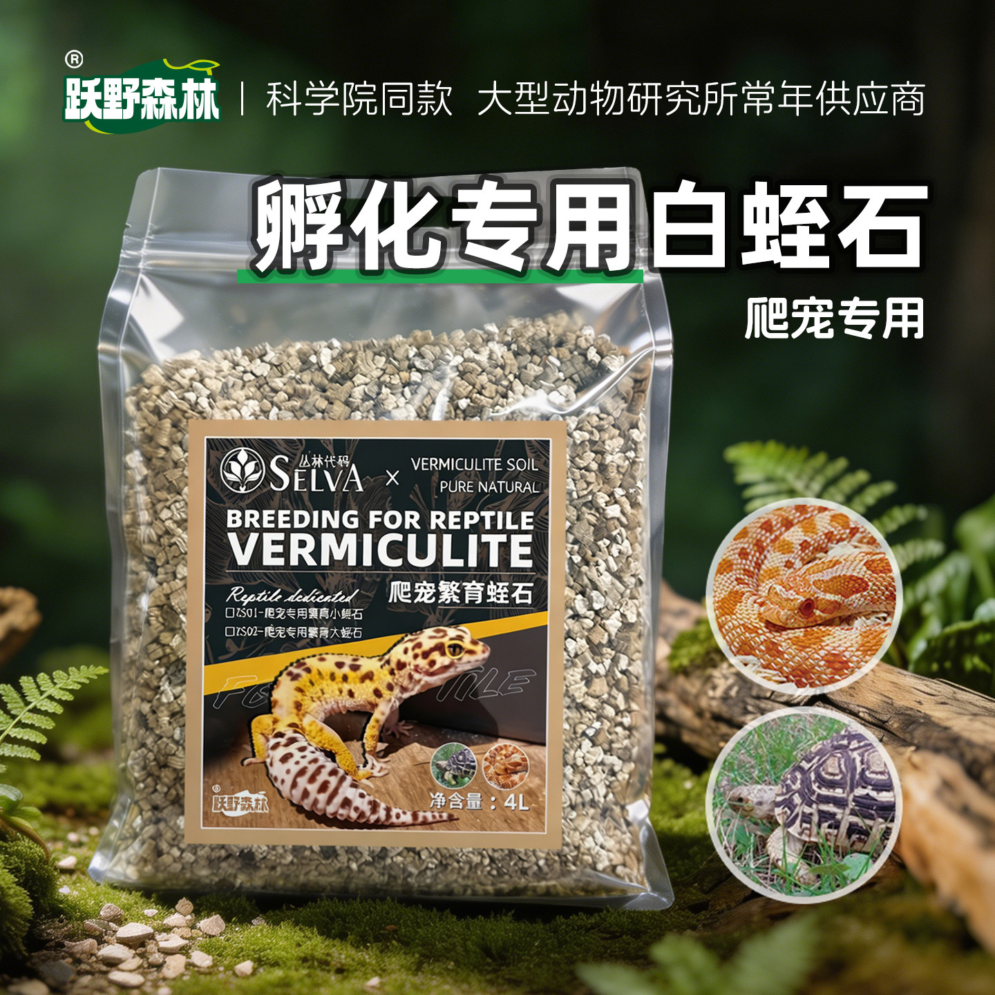 丛林代码白蛭石孵蛋大颗粒孵化保湿垫材守宫蜥蜴蛇乌龟白珍珠岩