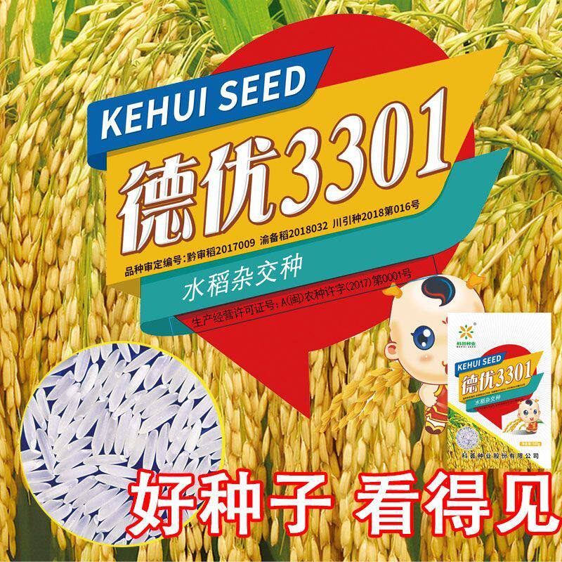 国审正品德优3301超级杂