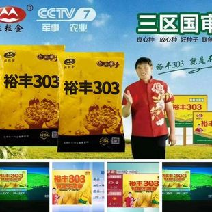 国审原装正品裕丰303玉米种子高产矮杆抗倒伏大棒南北方春播夏播