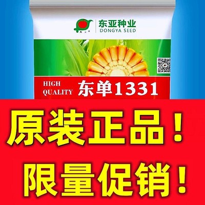 五国审东单1331高产杂交玉米种子优质特大棒矮杆抗倒东亚小钢炮籽