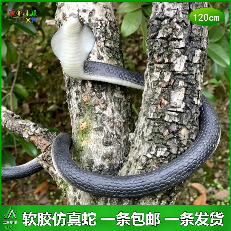 仿真蛇软胶包邮眼镜蛇