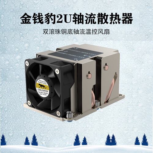 金钱豹LGA3647平台2UCP