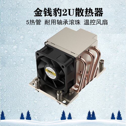 金钱豹支持SP3AMD多平台C