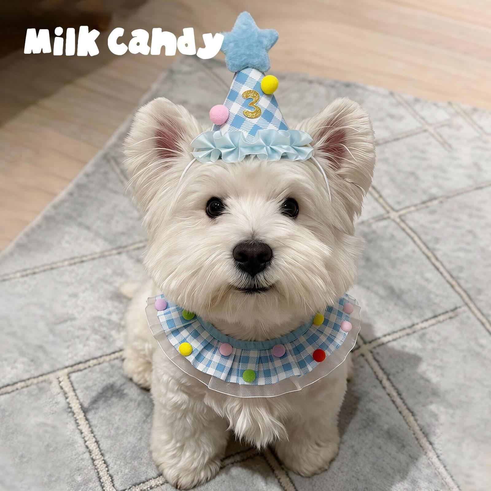 狗狗生日装饰宠物口水巾小狗生日帽装扮猫咪帽子拍照道具小猫围兜