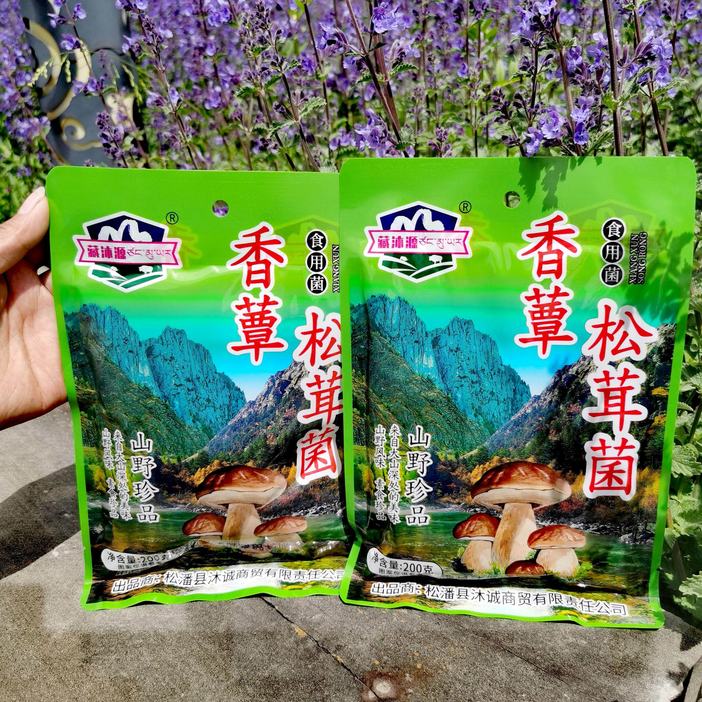 四川阿坝州九寨沟特产藏沐源山珍野生香蕈松茸菌200g即食拍四发五