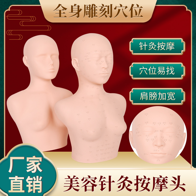 皮肤管理头模 带穴位模特头 软质 按摩练习手法头模 躺式公仔头