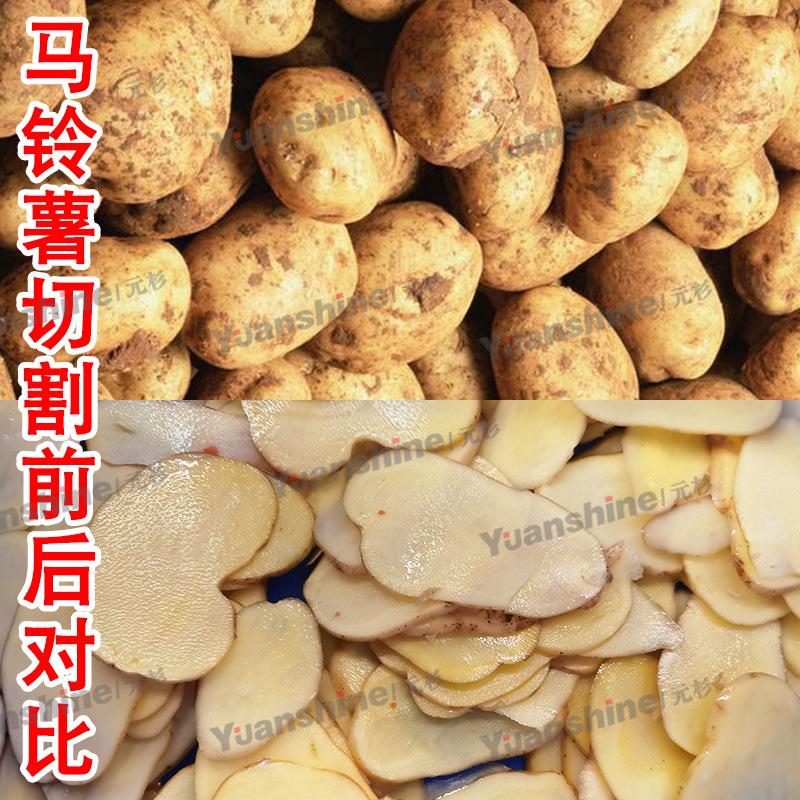 果多功能离RUB心丝式芒白切机萝卜切丝机大型全自动切丝机