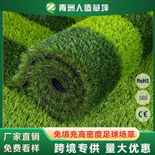 rass免冲砂人造草坪球场g专业学训足练球人工L01 假草室内球校