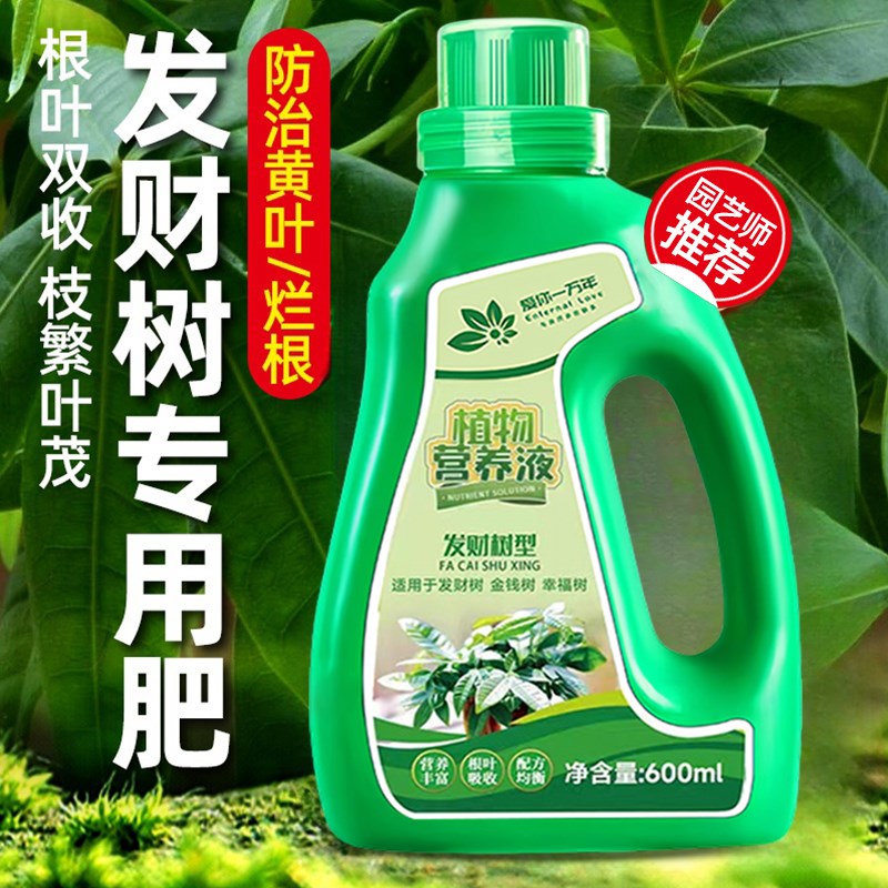 现货速发发财树营养液肥料肥专治烂根掉叶黄叶室内盆栽绿植物花肥