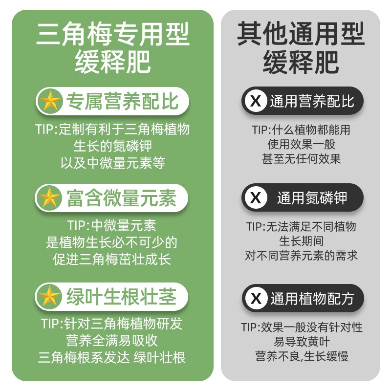 现货速发三角梅开花肥促花壮枝养花肥力易吸收营养丰富通用型