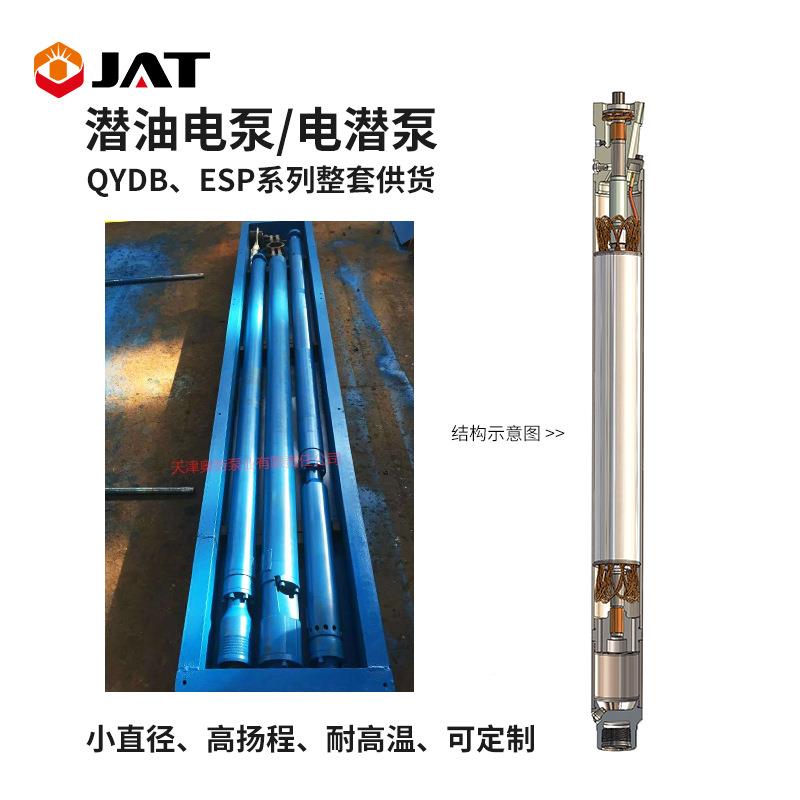 电潜油泵2000高米扬程高温小频直PJ21000径潜油电泵电动定制变地