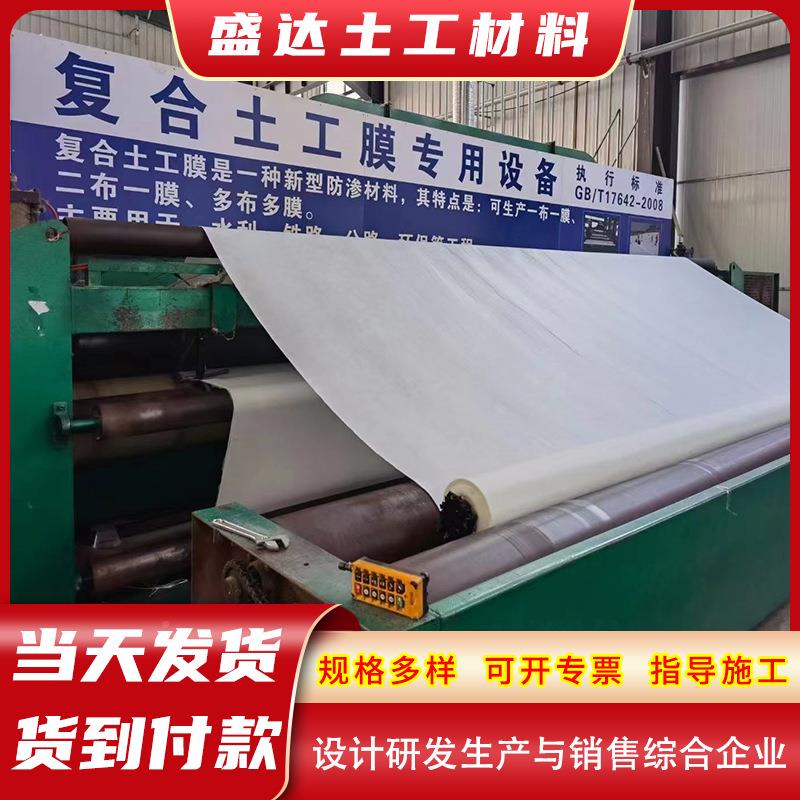 复合GBO土工 水土工布 河膜道治理库尾矿坝防渗防处理hdp水e两布