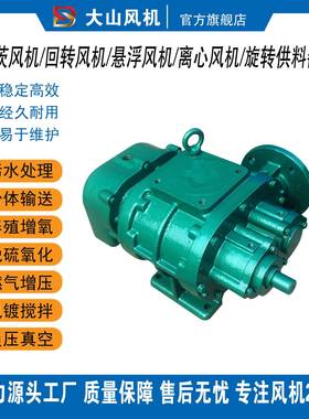 销售维S修罗茨风机SSR50SSR65SSR80SR107810SSRS125SR150SSR200RR