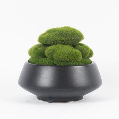 简约新式永生苔装饰品现中OFK仿代家居桌面真青苔小摆店件酒客房