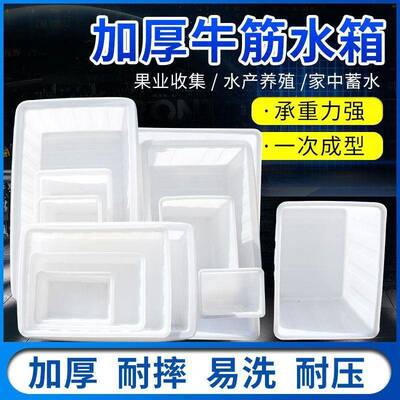 水产箱加厚牛鱼筋料水箱浅塑料盆长方形养盆AZA养龟塑口槽储水桶