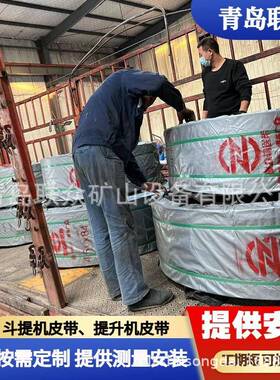 炭素厂钢机丝绳提胶升带联众双斗提机带提升输送带侧ST630防撕裂