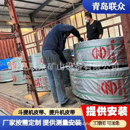 炭素厂钢机丝绳提胶升带联众双斗提机带提升输送带侧ST630防撕裂