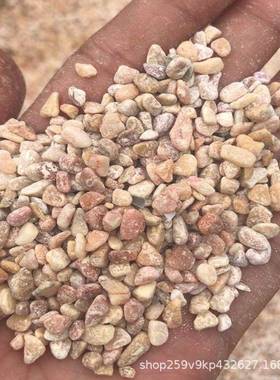 黄色磨水石洗黄色磨圆粘胶石工庭程铺路圆院用石子黄色IBV造景石