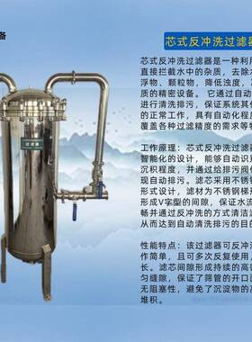 厂家新品不锈钢反冲洗多芯RTA过滤器器精吹密过滤器前置过滤可反