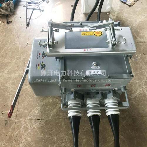 FZ28-12F关/630A户外柱上高压分真空界负荷W开10kV智FZW28-12能真