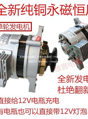 REQ农用车三1轮车拖拉机永磁恒压2V1直4伏改装流充电带V灯两用垒