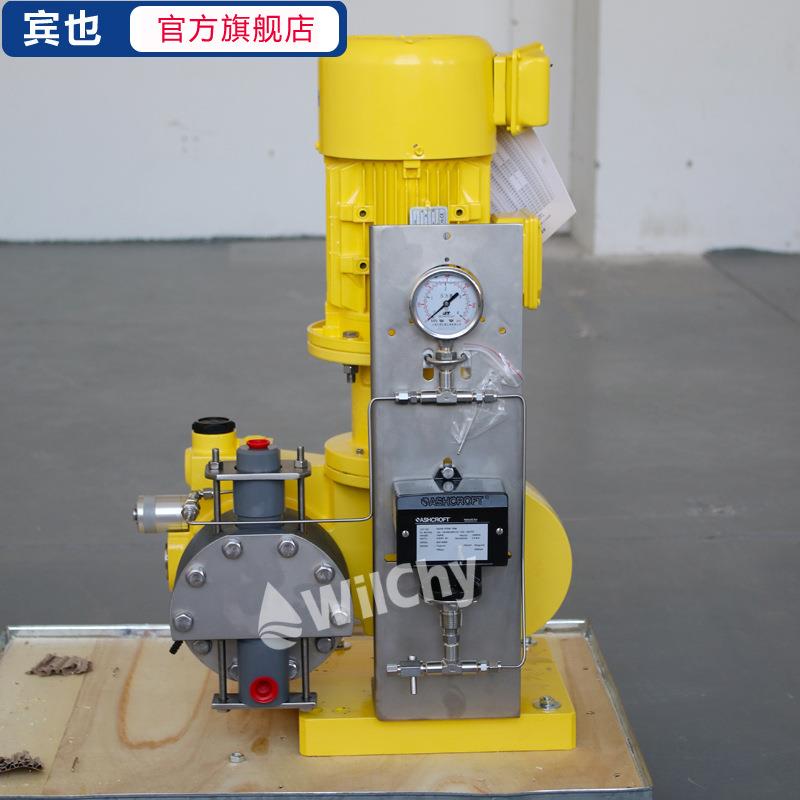 泵333mRoy型RMB-12破R19R12R10双隔膜裂检测计量泵