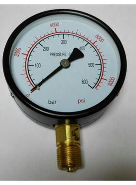 压力计100mm 双刻度压力显示表 pressuregauge 0-600bar 8000psi