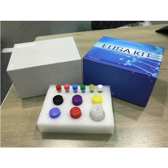 中镜科仪    ELISA试剂盒