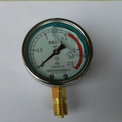 60mm 无锡惠华耐震压力表 压力2.5mpa YTN-60 0～2.5mpa m14x1.5