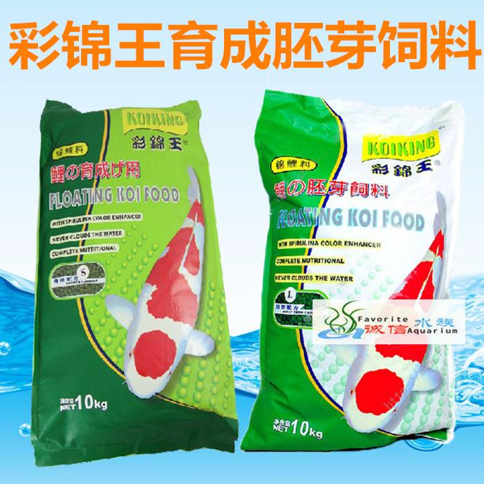 彩锦王锦鲤饲料育成增体胚芽色扬速长锦鲤鱼粮鱼食大中小粒20斤