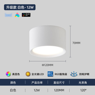 明装筒灯led圆筒形店铺商用家用过道走廊免开孔吸顶式防眩目筒灯