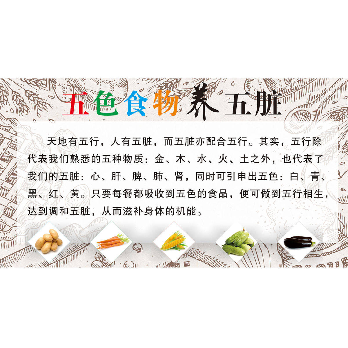 中医调理五色食物养五脏贴画养生馆理疗馆宣传海报装饰画kt板