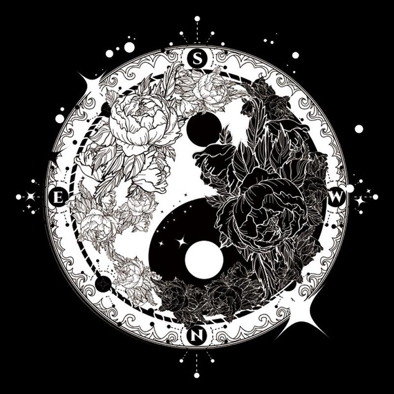 创意太极图 阴阳鱼装饰画 花朵与太极 书房客厅装饰画221图片