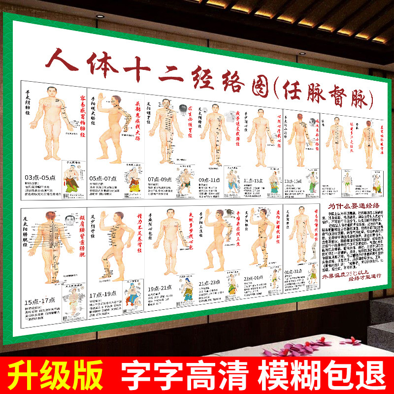 人体十二经络挂图中医养生馆十四穴位大图任督二脉海报经脉走向图