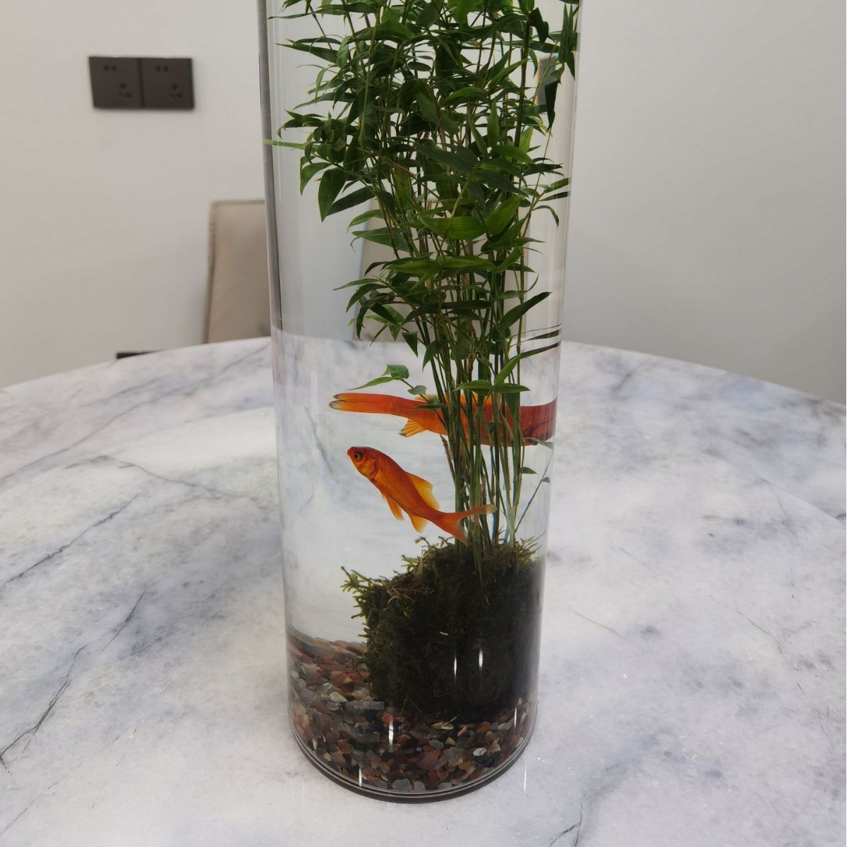 亚克力鱼缸迷你鱼缸室内装饰鱼缸管pc亚克力管优惠供应