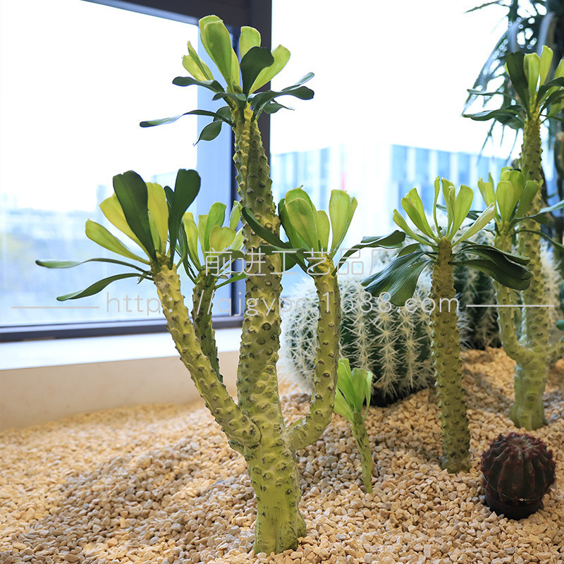 仿生绿植沙漠植物人造沙生植物景观造景仿真仙人掌霸王树霸王鞭