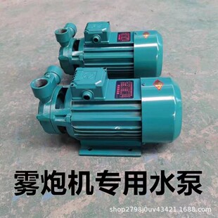 雾炮机专用高压泵微型旋涡泵2.2千瓦型号XQ1500喷雾泵铜芯铜叶轮