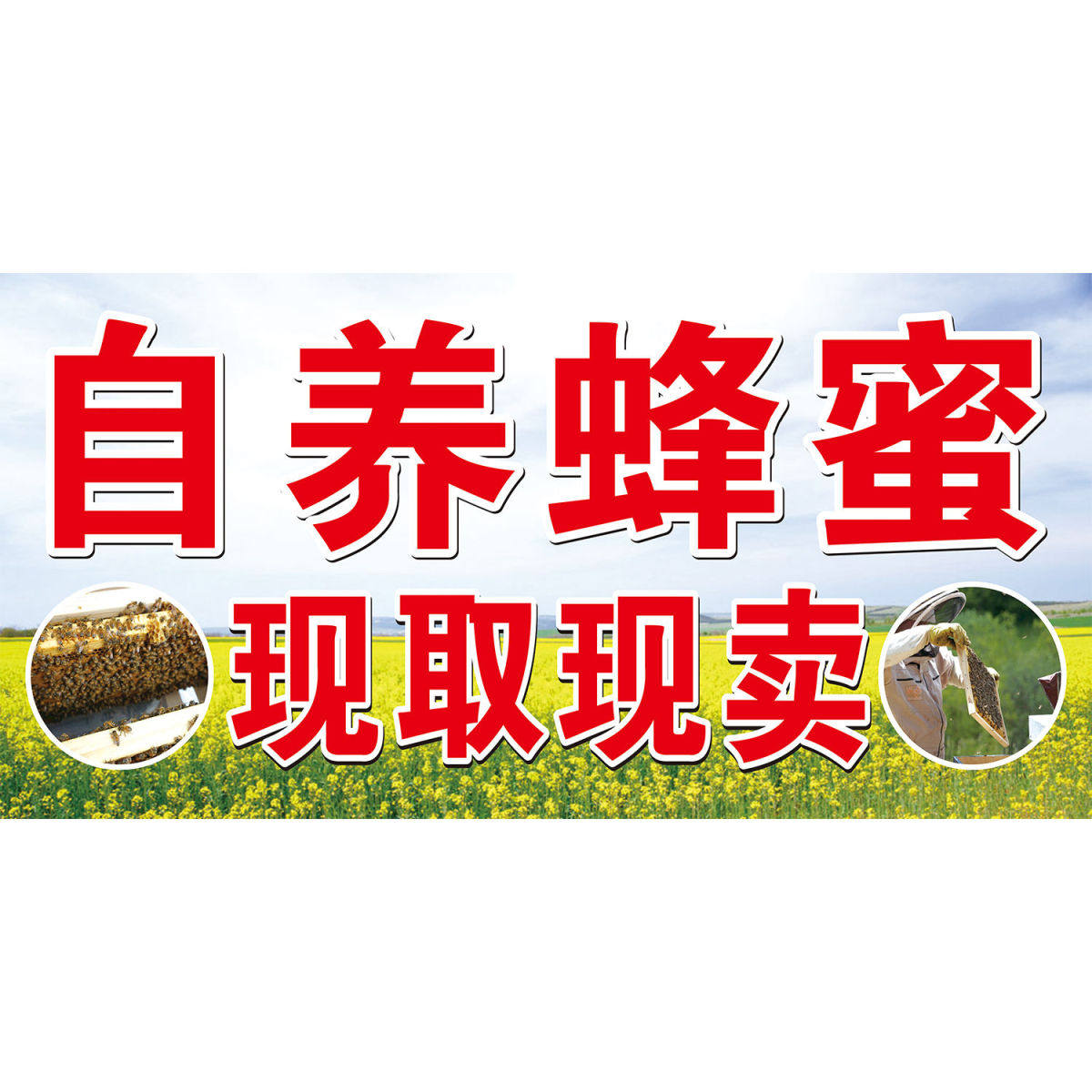 自养蜂蜜现取现卖海报展板天然冬蜜天山蜂园出售纯天然蜂密装饰画