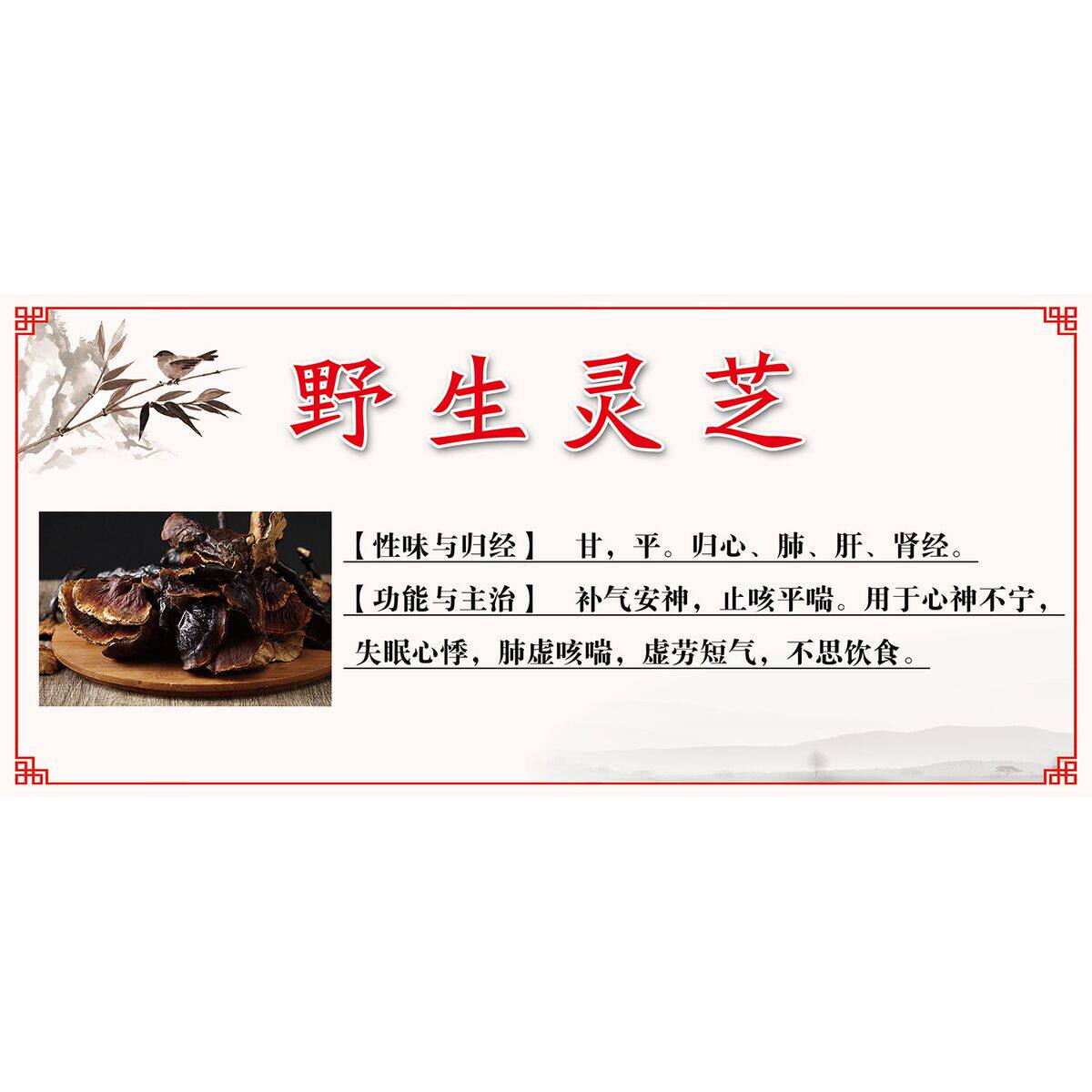 灵芝海报灵芝对于增强人体免疫力调节血糖保肝解毒之功效墙贴纸