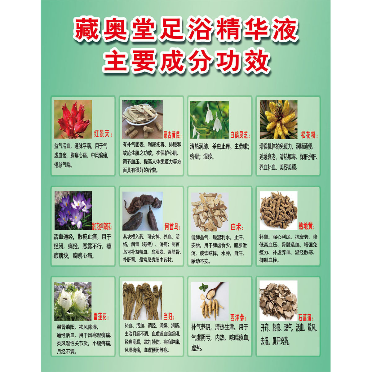 藏奥堂精华浴足液挂画中药泡脚店贴纸薰脚蒸足装饰画中医养生海报