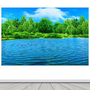 湖泊山水画湖水蓝天树木树林风景画客厅家居背景墙海报自粘装饰画