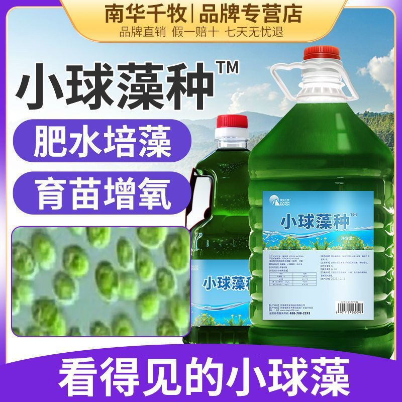 小球藻藻种鱼塘虾蟹塘增氧肥水培藻藻种水产养殖开口饵料绿水磊红