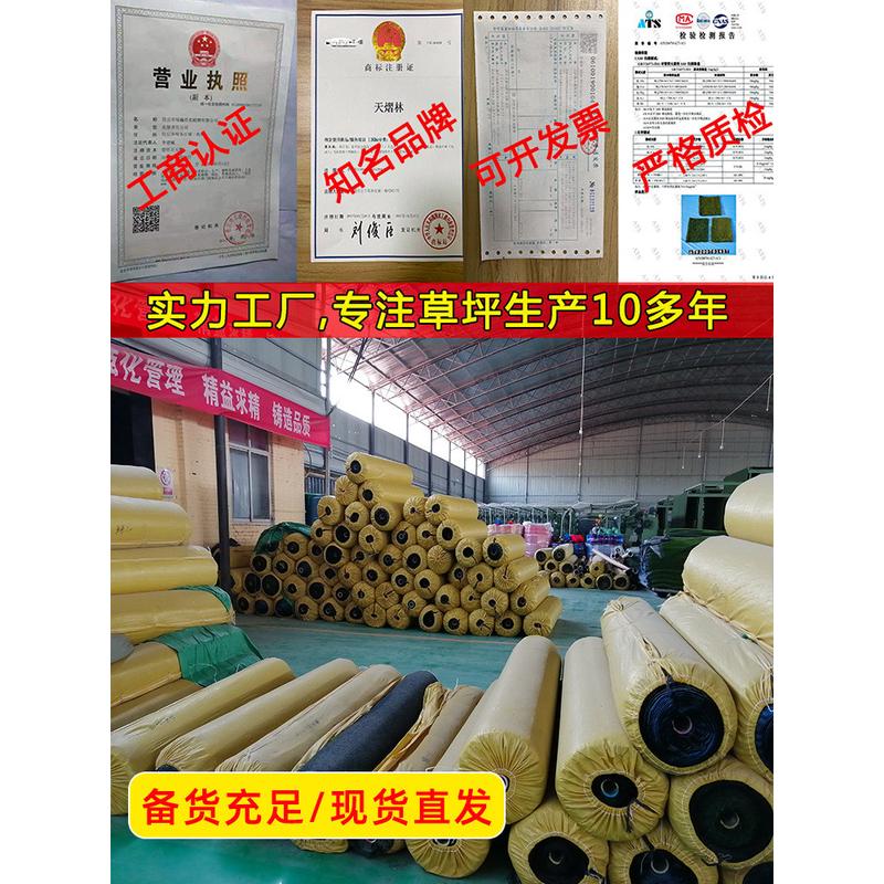 新款草坪绿地毯人工假草皮户外铺垫人造塑料地垫围挡幼儿园足球场