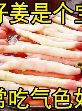 四川农家泡仔姜泡嫩姜正宗老坛特产泡菜下饭酸菜脆嫩爽口佐餐秘制